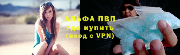 ГАЛЛЮЦИНОГЕННЫЕ ГРИБЫ Кукмор