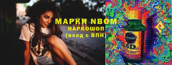 ГАЛЛЮЦИНОГЕННЫЕ ГРИБЫ Кукмор