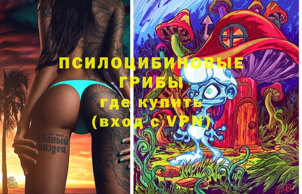 apvp Ладушкин